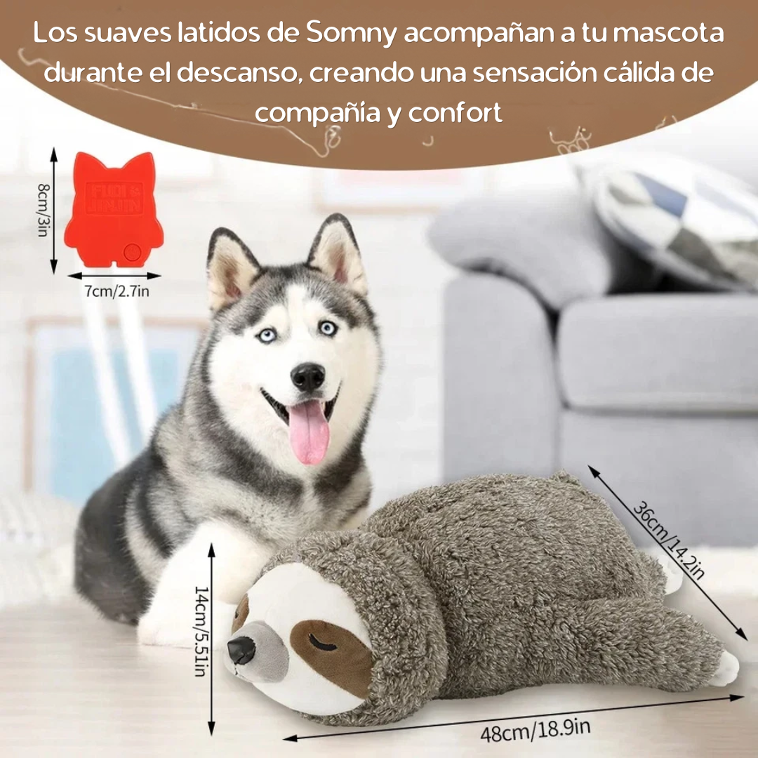 Somny™ Compañero de Calma
